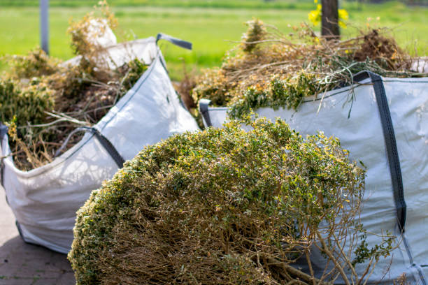 Best Carpet Removal and Disposal  in Steiner Ranch, TX